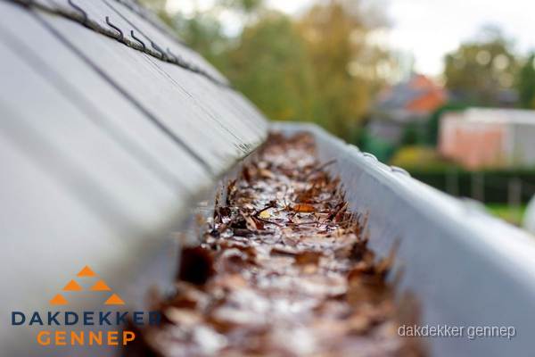 Verstopte dakgoot met bladeren schoonmaken in Gennep Verstopte dakgoot met bladeren schoonmaken in Gennep