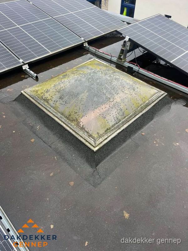 Vervuilde lichtkoepel op plat dak met zonnepanelen in Gennep