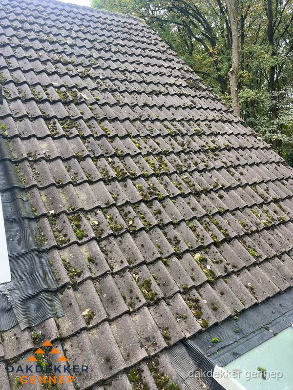 Verweerd pannendak met mosgroei dat renovatie nodig heeft in Gennep