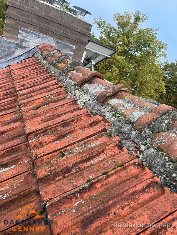 Verweerd hellend dak met mosgroei op nokvorst in Gennep Verweerd hellend dak met mosgroei op nokvorst in Gennep