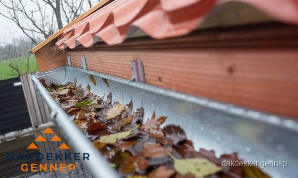 Dakgoot vol bladeren die gereinigd moet worden in Gennep Dakgoot vol bladeren die gereinigd moet worden in Gennep